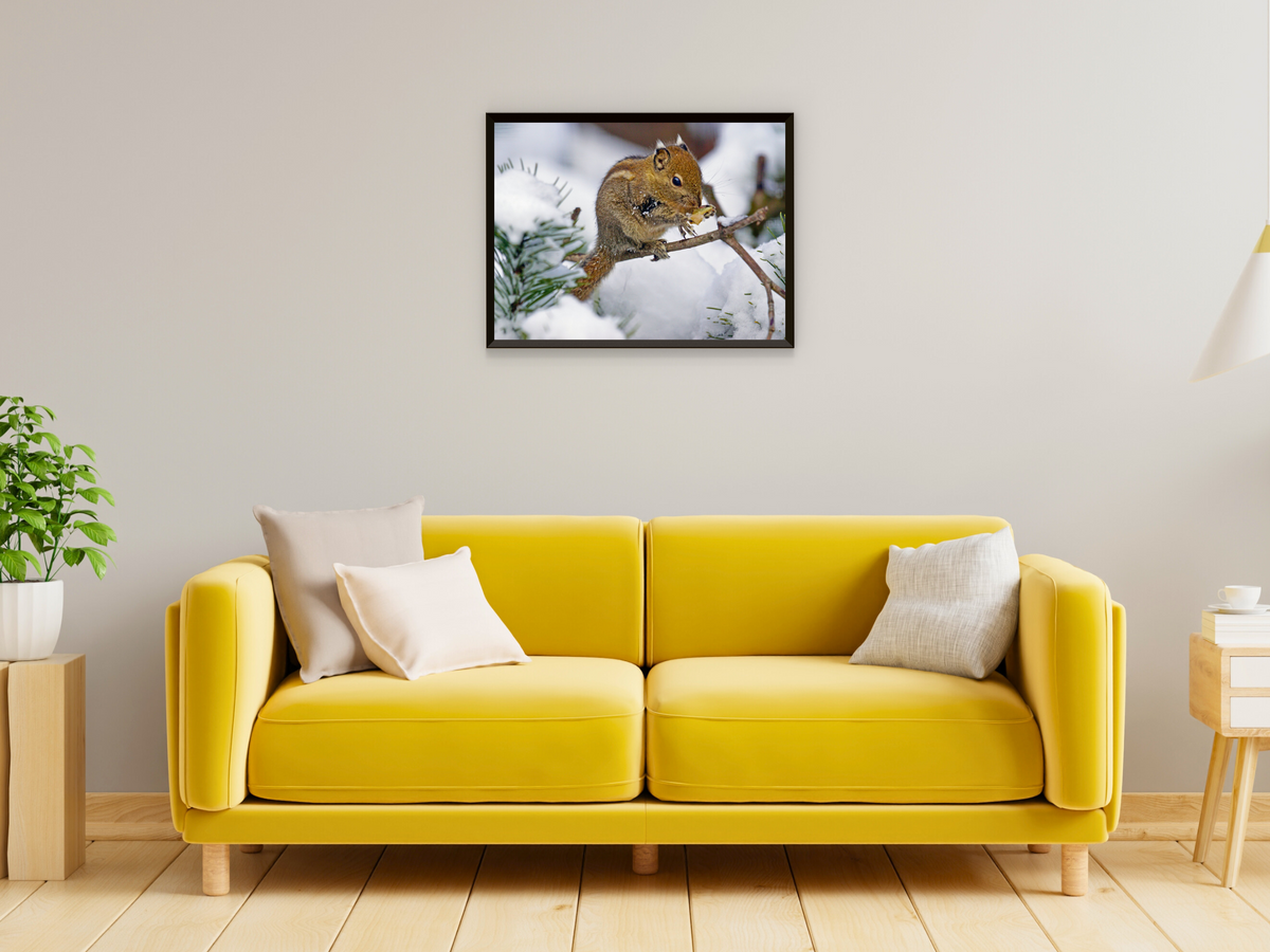 Alpine Naturmotive-Fotografie (Bundle)
