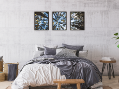 Blick in den Himmel-Triptychon-Fotografie