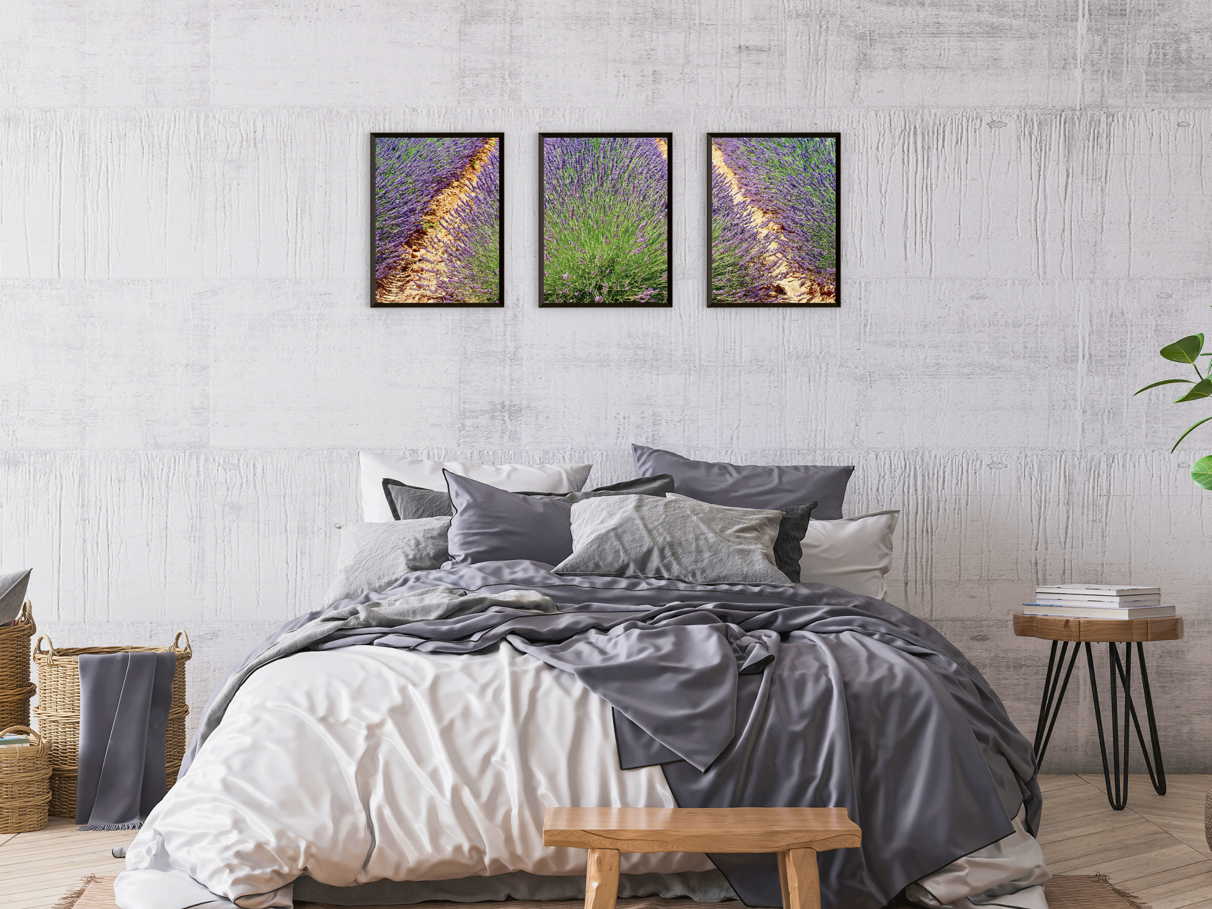 Photographie de triptyque de champs de lavande