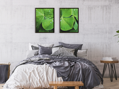 Cloverleaf-Split-Photography