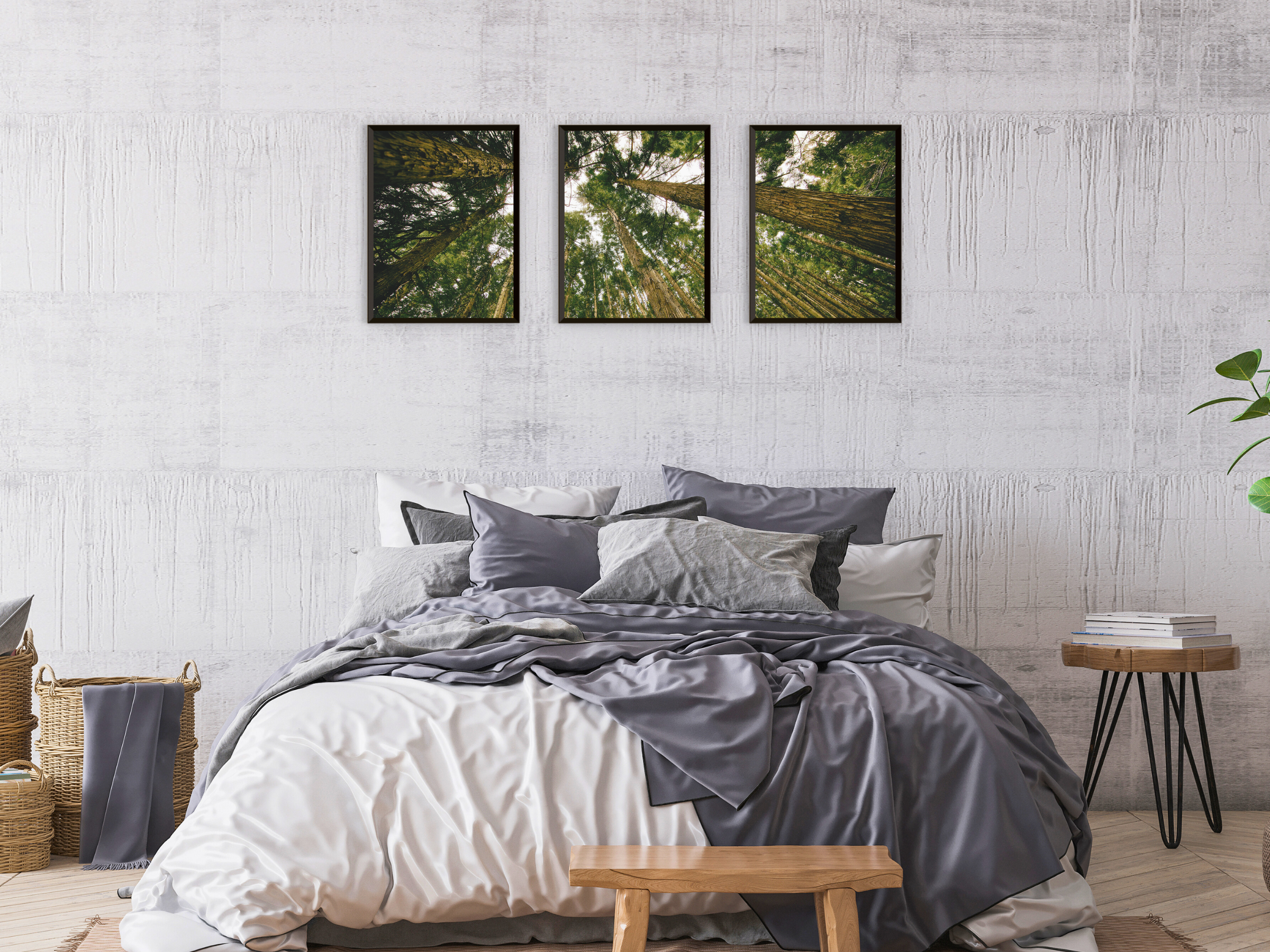 View into the Trees - Triptych Photography