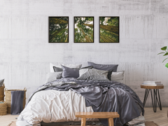 View into the Trees-Triptych-Photography