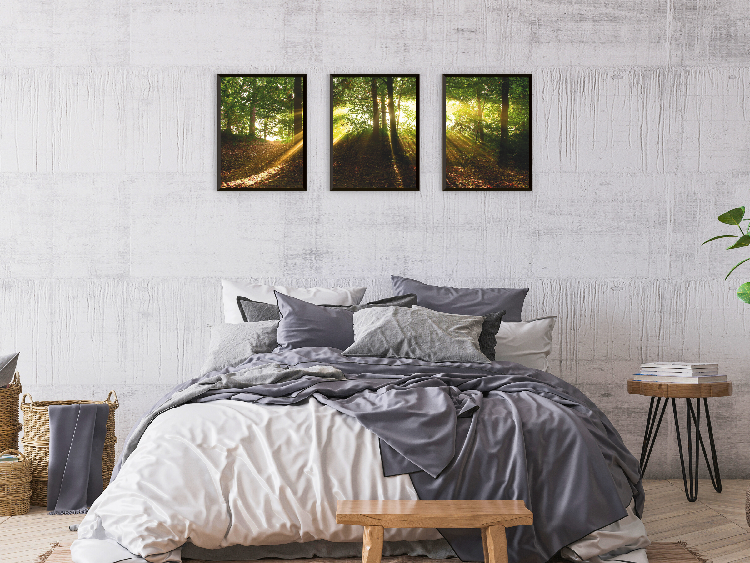 Forest Light View Triptych Photography