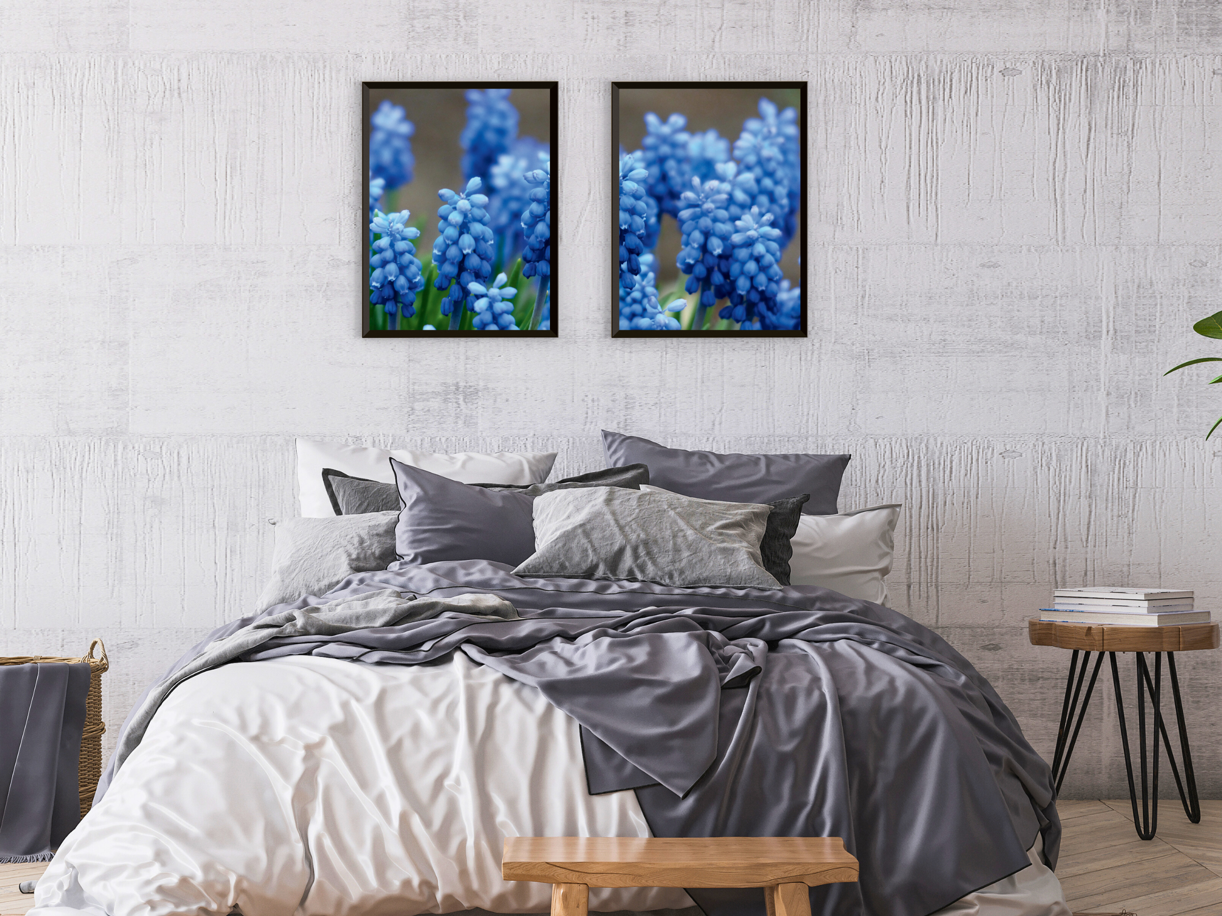 Grape Hyacinth Split Photography