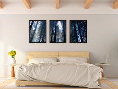 View through the Trees-Triptych-Photography