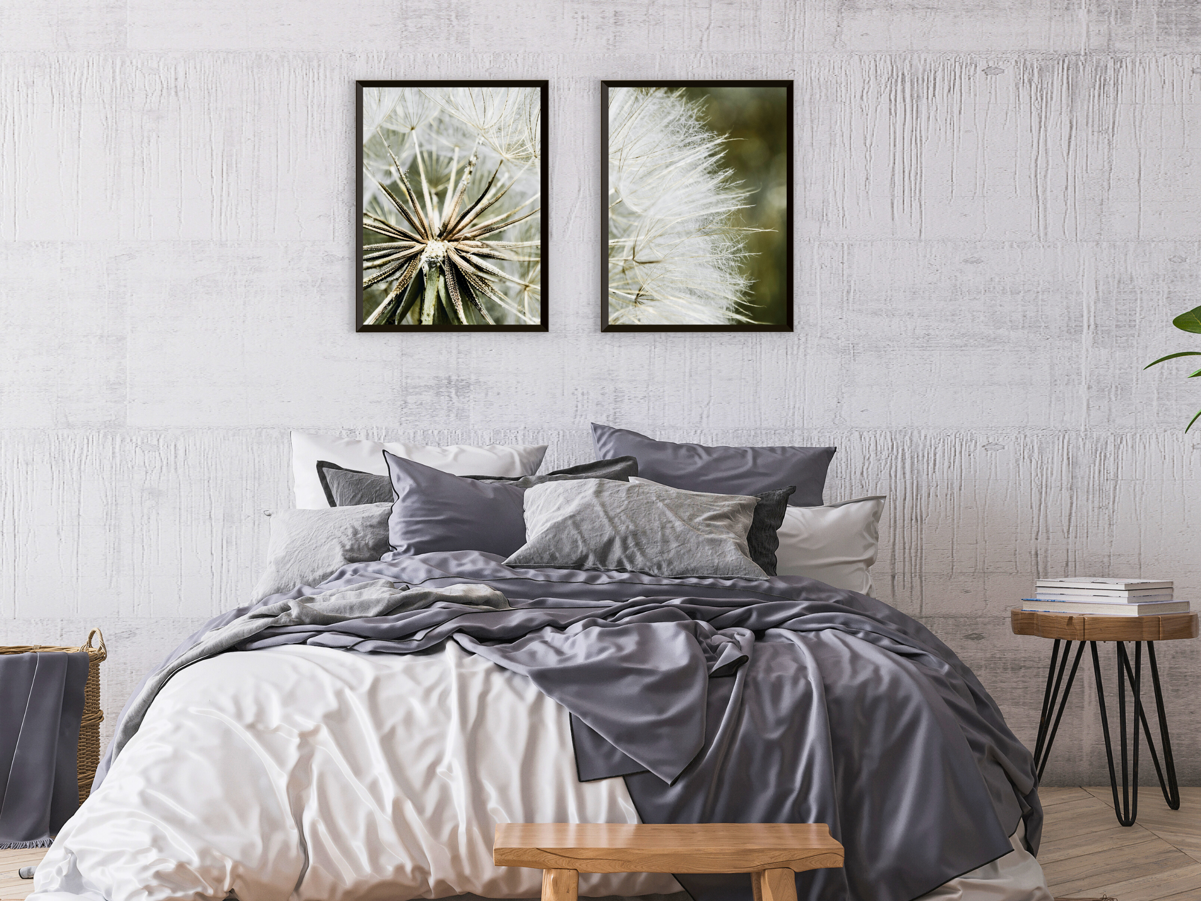 Dandelion Split Photography