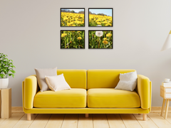 Buttercup Field-Split-Photography