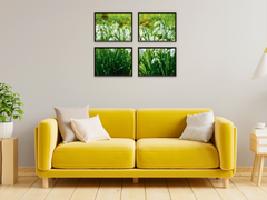 Winter flower meadow split photography (bundle)