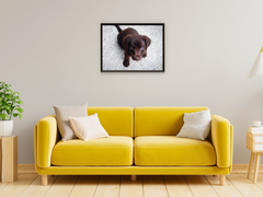 Tierkinder (Bundle)
