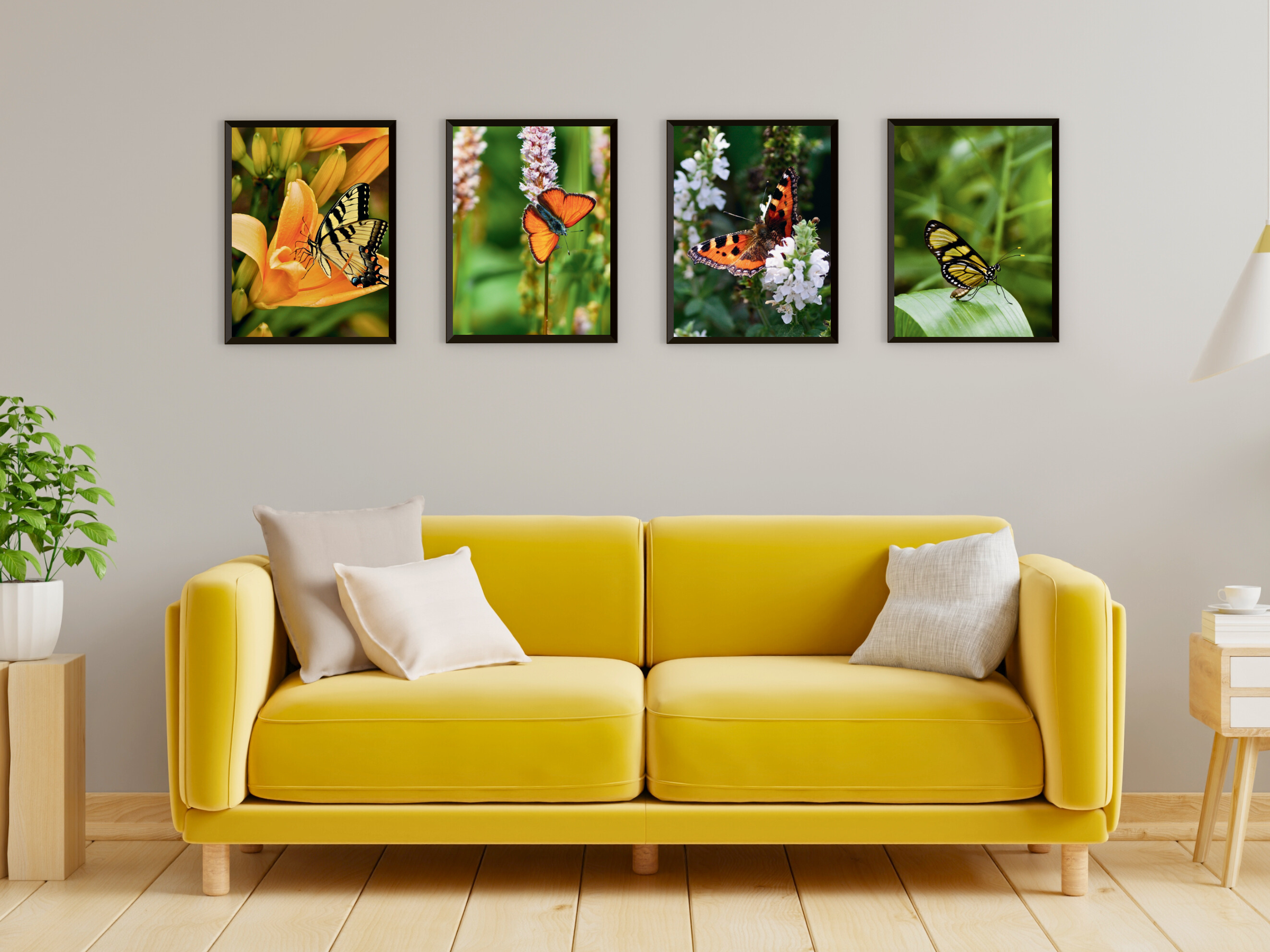 Papillons
