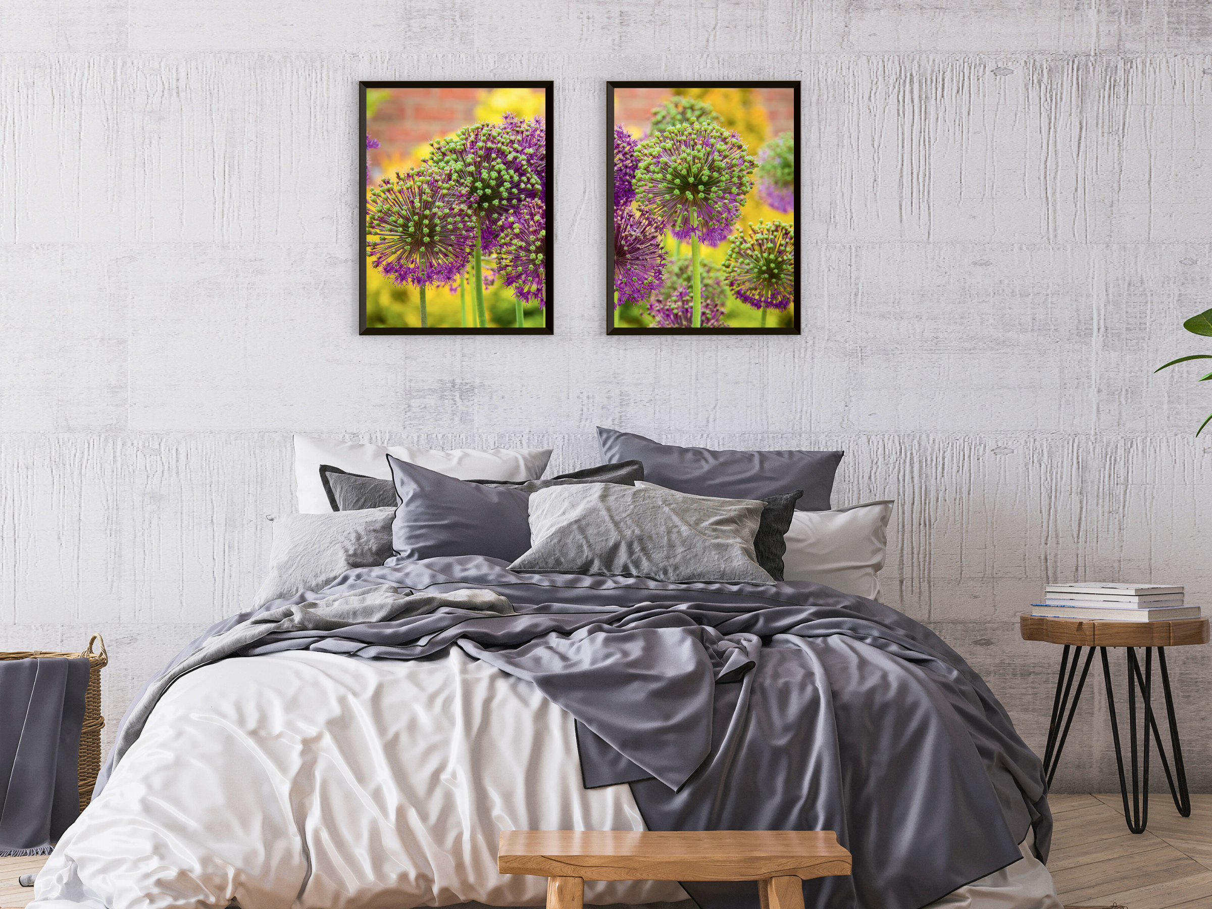 Ornamental Garlic Split Photography