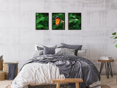 Schmetterling auf Blüte-Triptychon-Fotografie