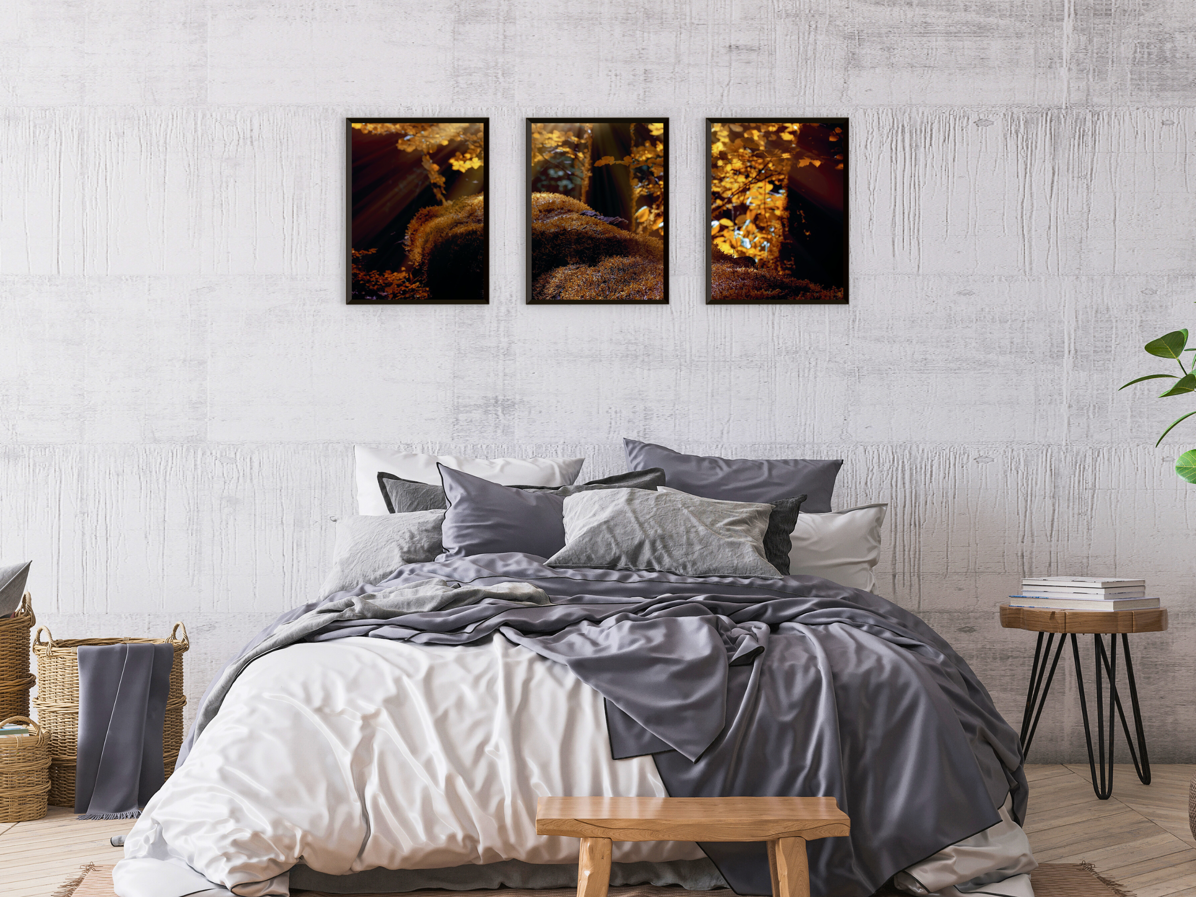 Forest Moss Triptych Photography