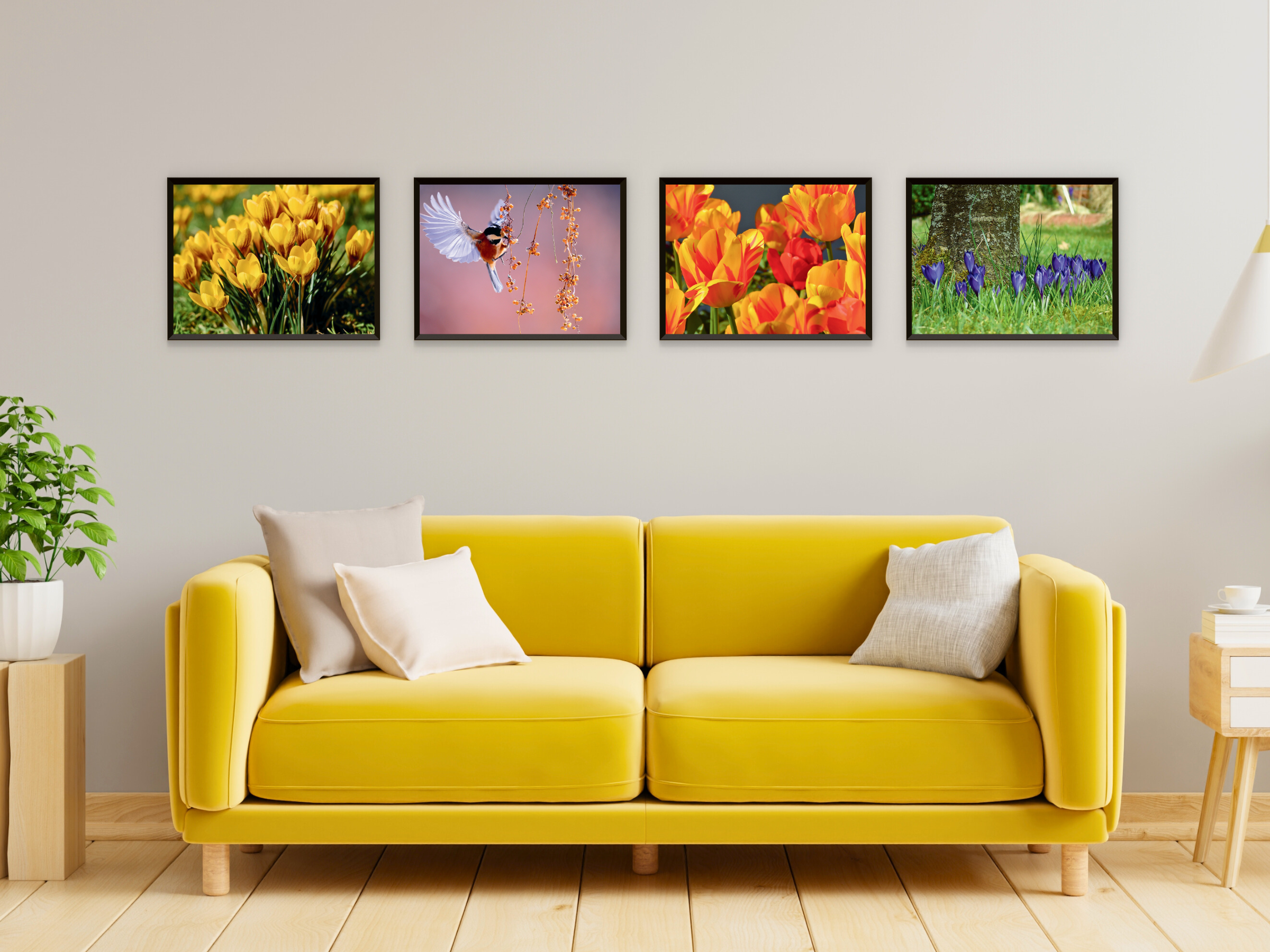 Blüten im Frühling-Fotografie