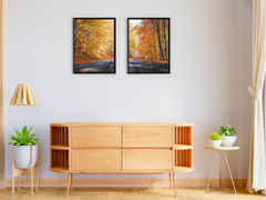 Forest Road in Fall-Split-Photography