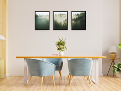 Forest in Fog-Triptych-Photography