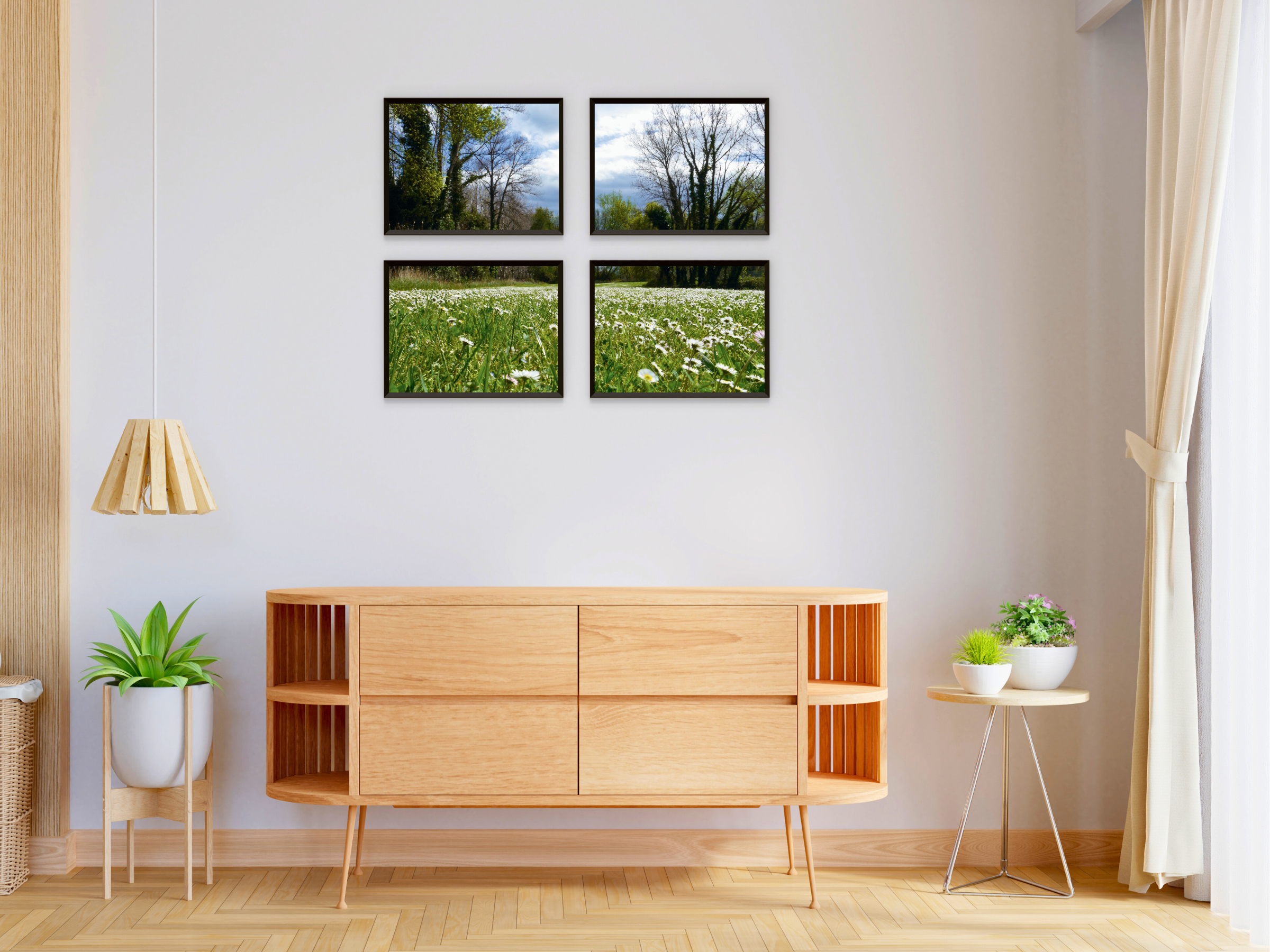 photographie de prairie de marguerites
