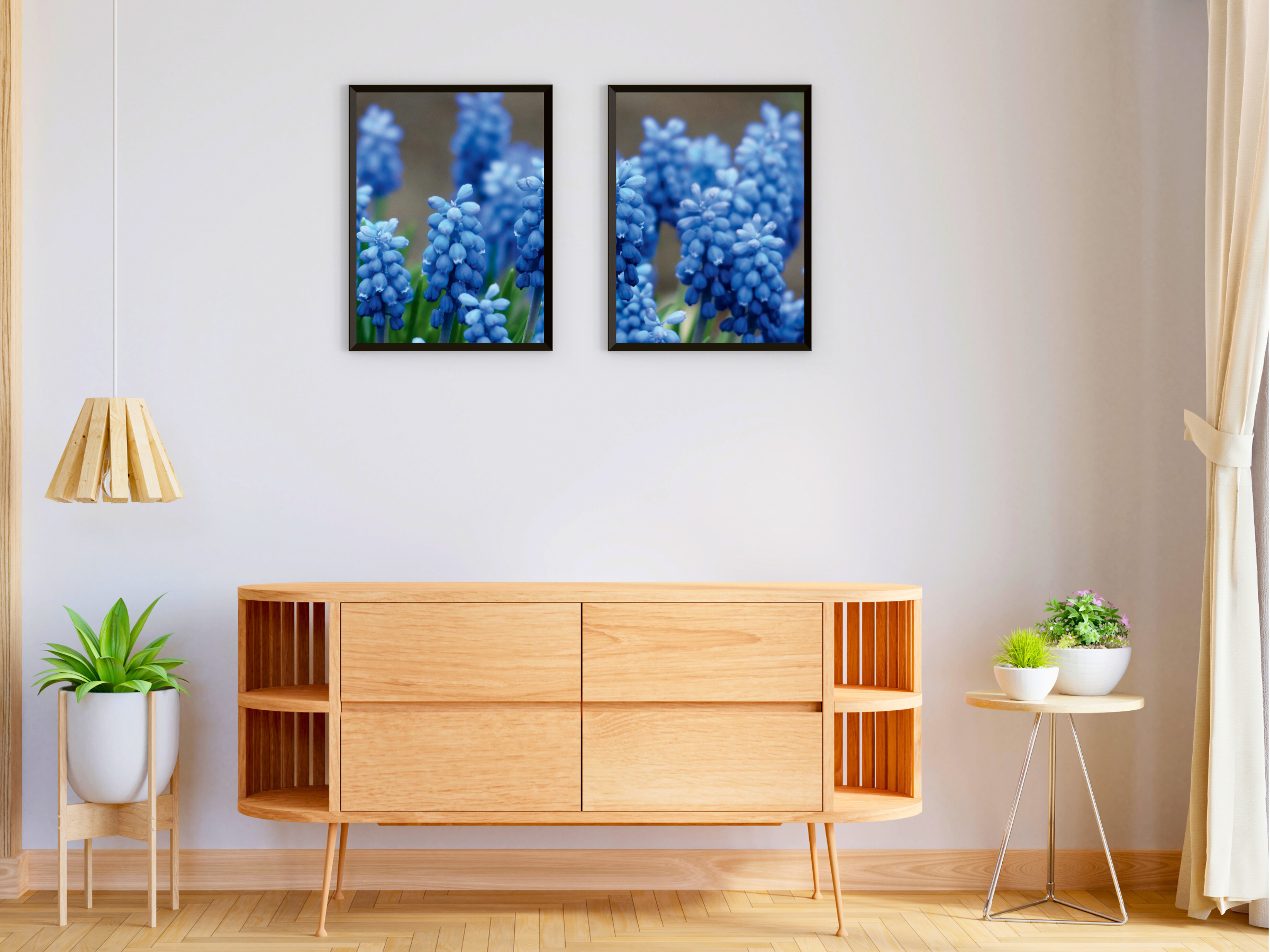 Grape Hyacinth Split Photography