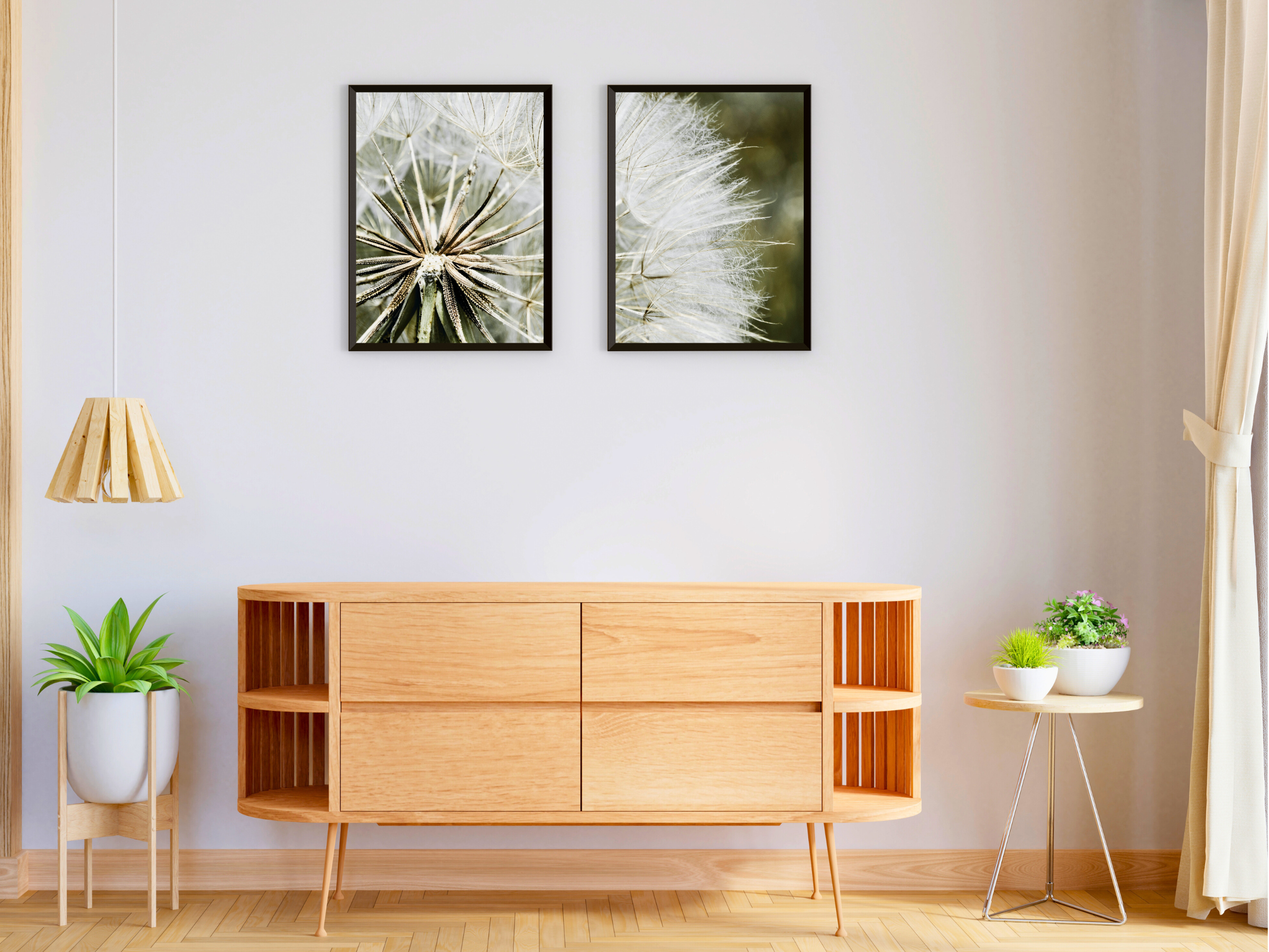 Dandelion Split Photography