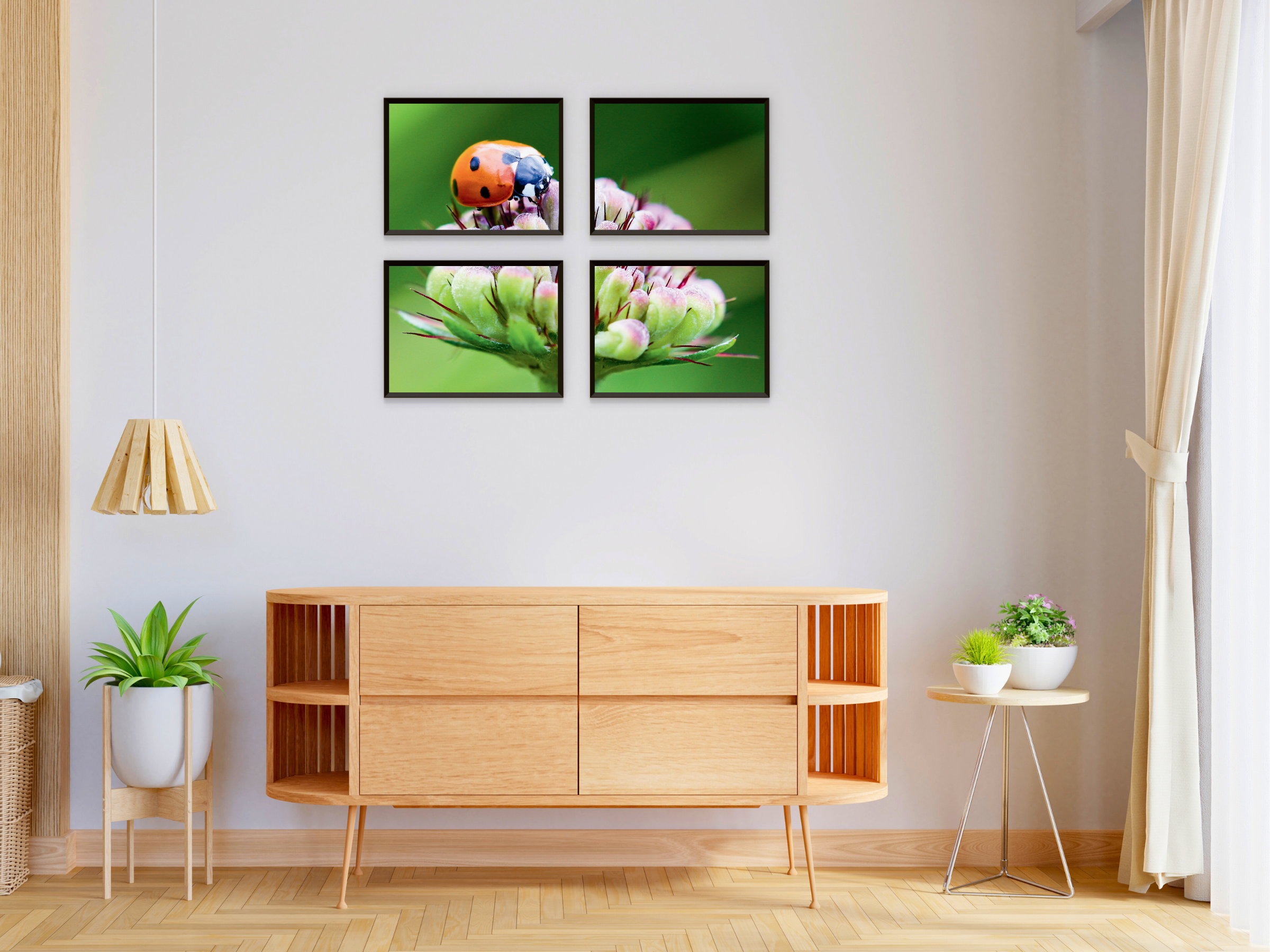 Coccinelle sur une fleur fendue photographie