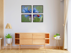 Marienkäfer auf blauer Kornblume-Split-Fotografie