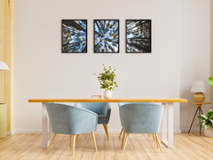 Blick in den Himmel-Triptychon-Fotografie