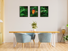 Schmetterling auf Blüte-Triptychon-Fotografie