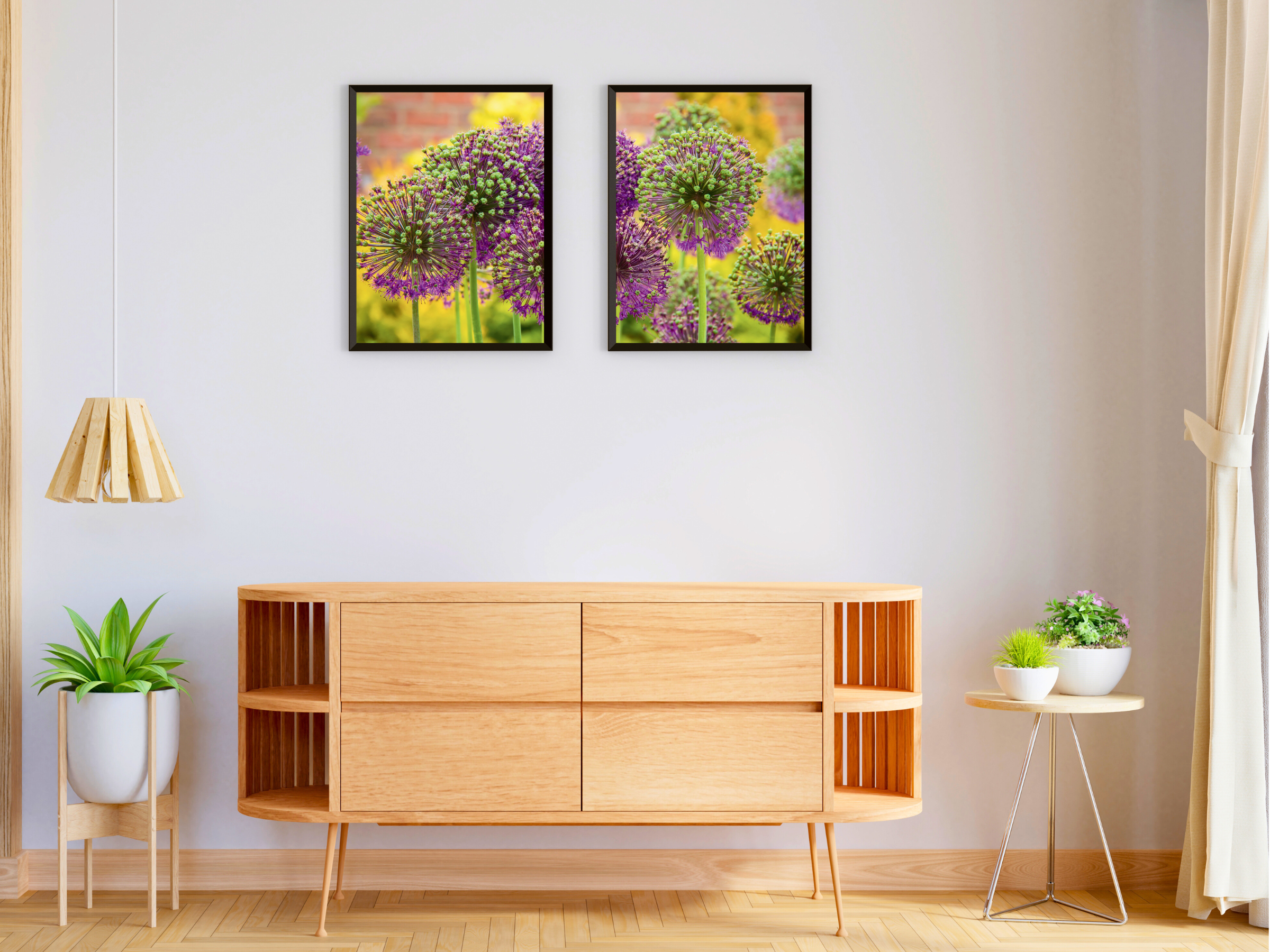 Ornamental Garlic Split Photography