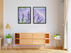 A Field of Lavender-Split-Photography