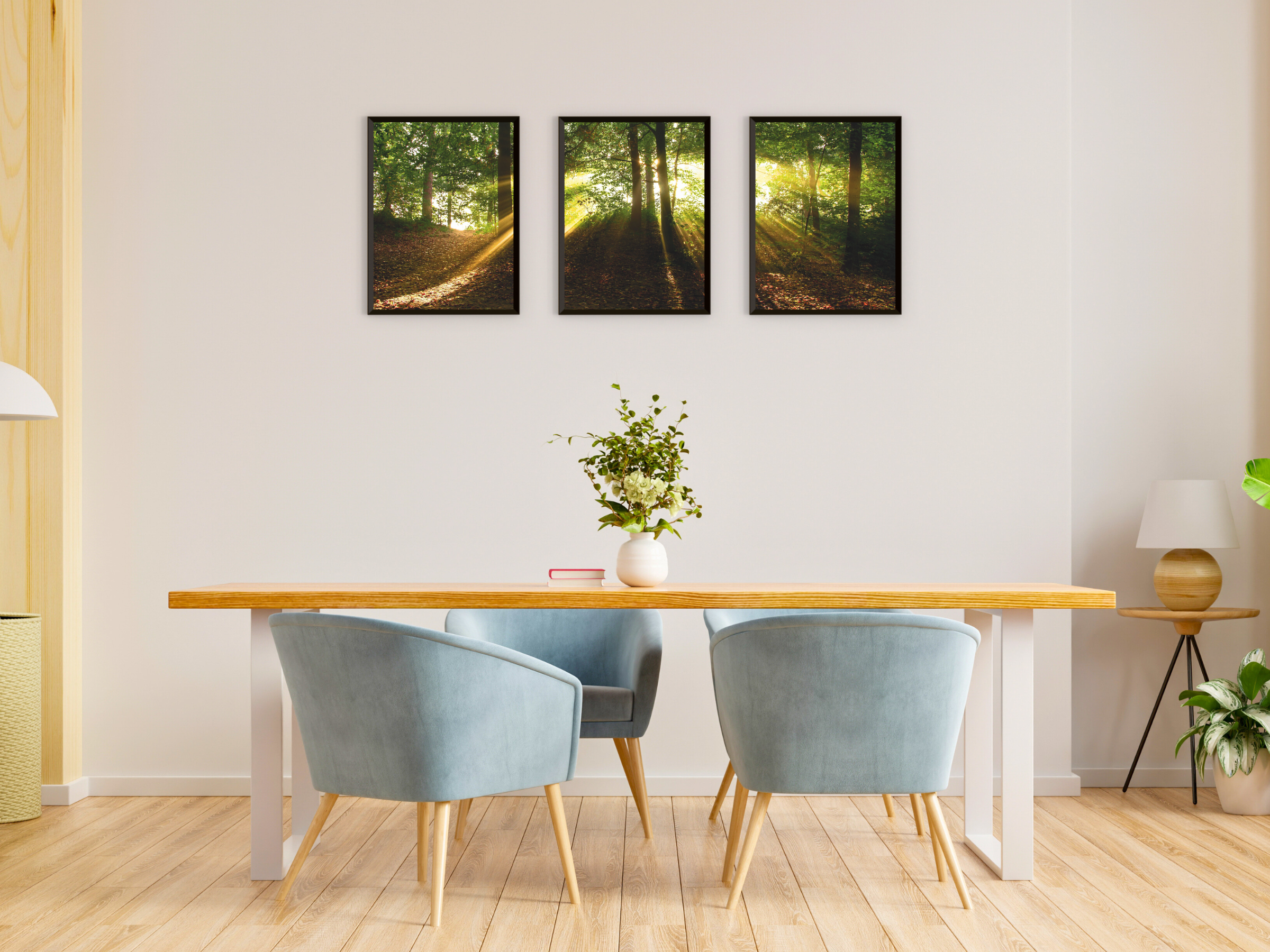 Forest Light View Triptych Photography