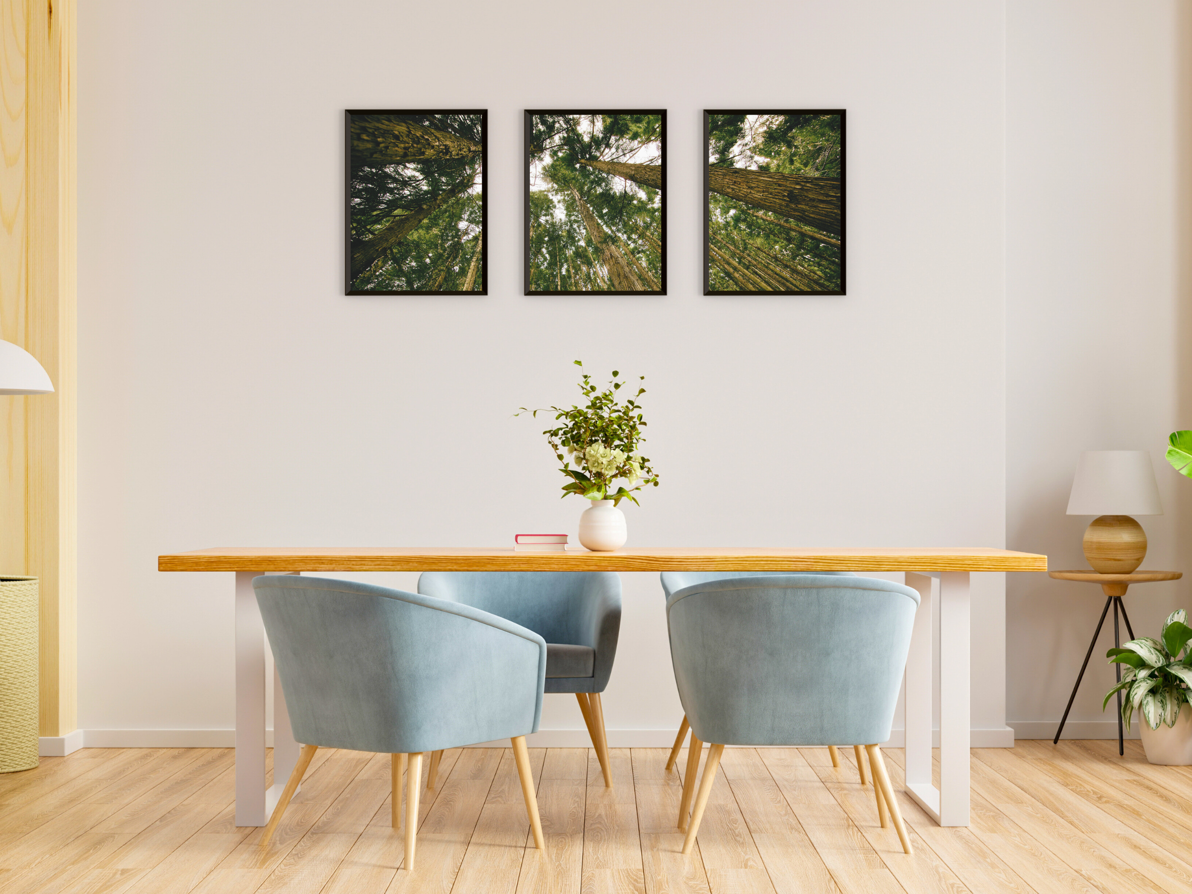 View into the Trees - Triptych Photography