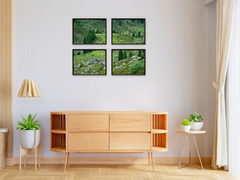 Conifers and green Hills-Split-Photography