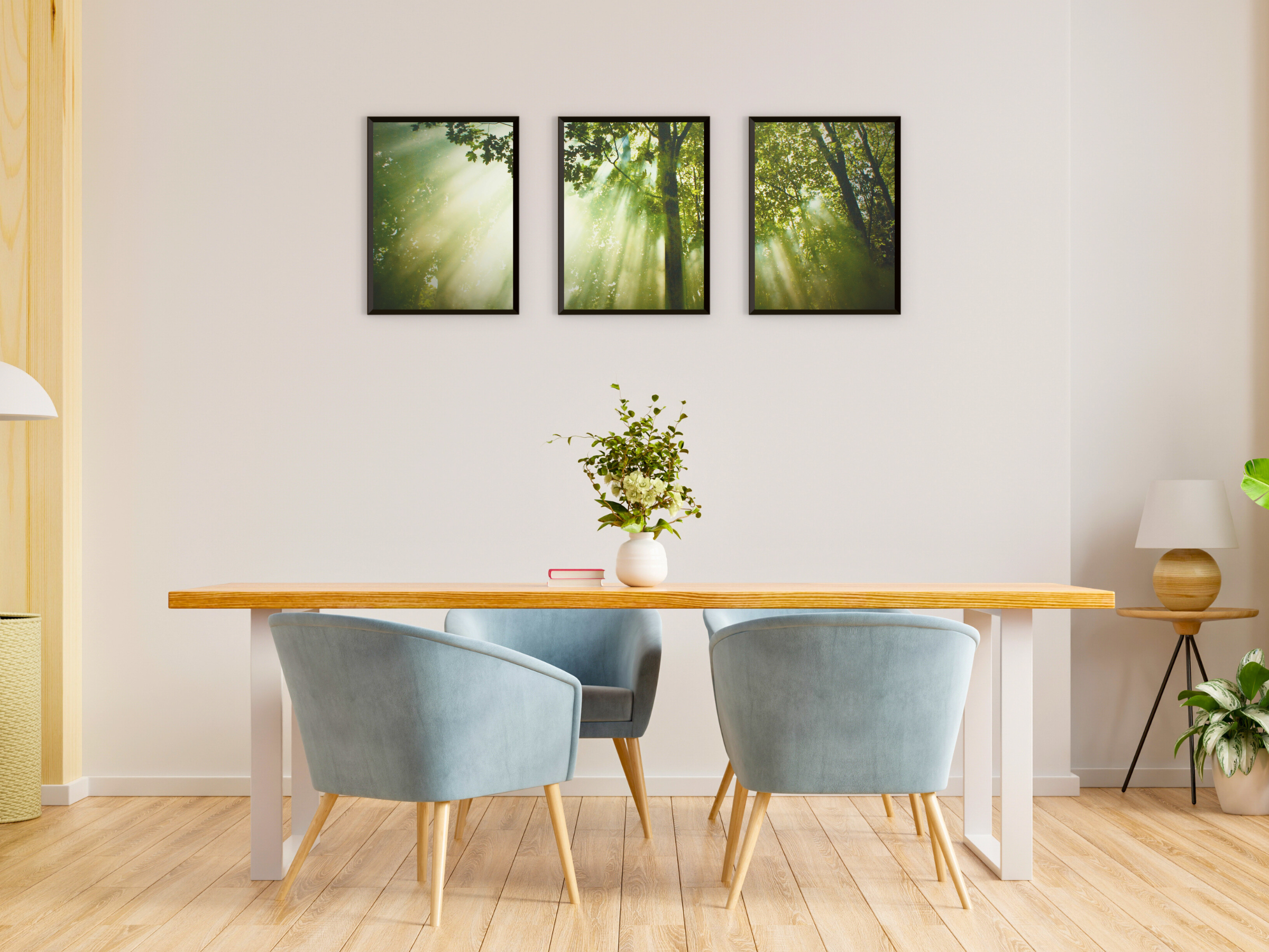 La lumière pénètre la forêt (triptyque photographique)
