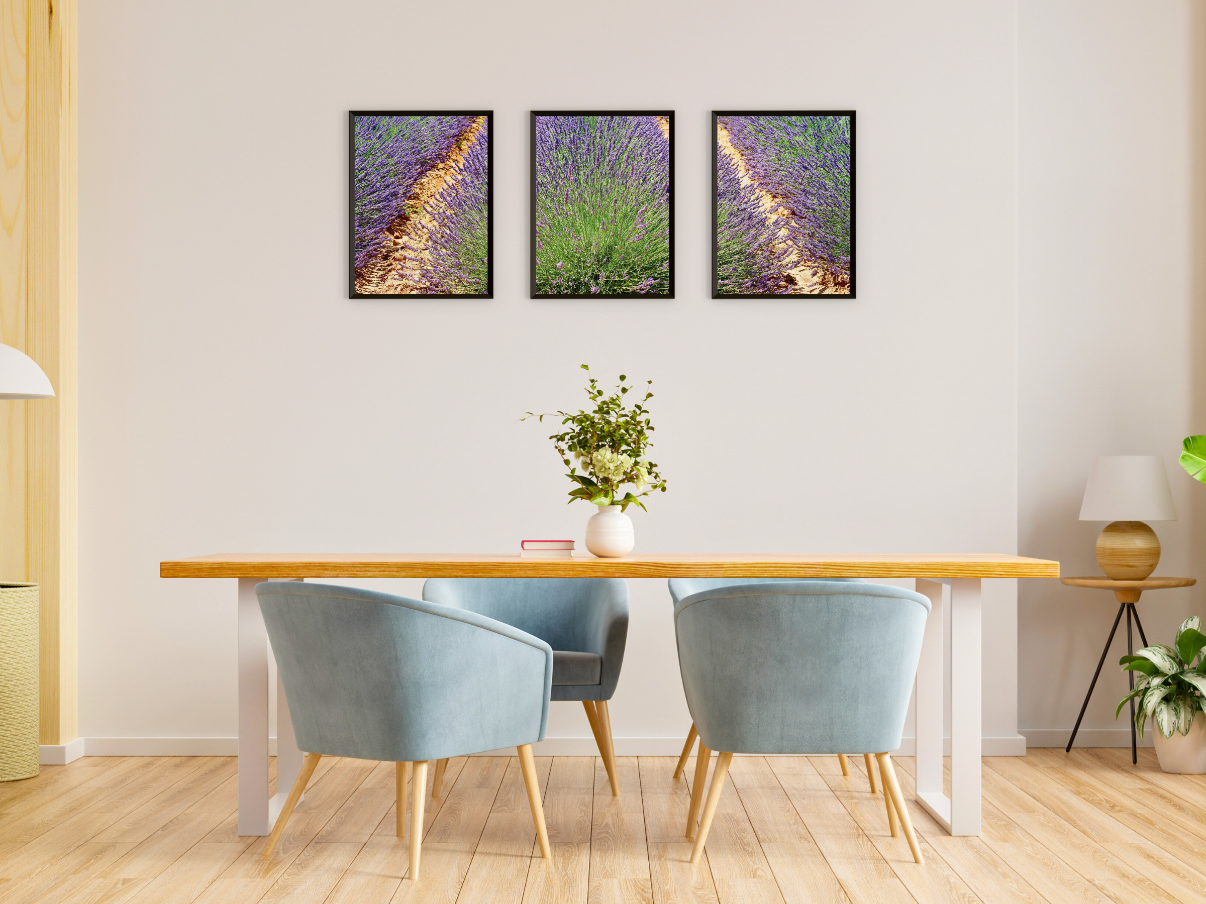 Photographie de triptyque de champs de lavande