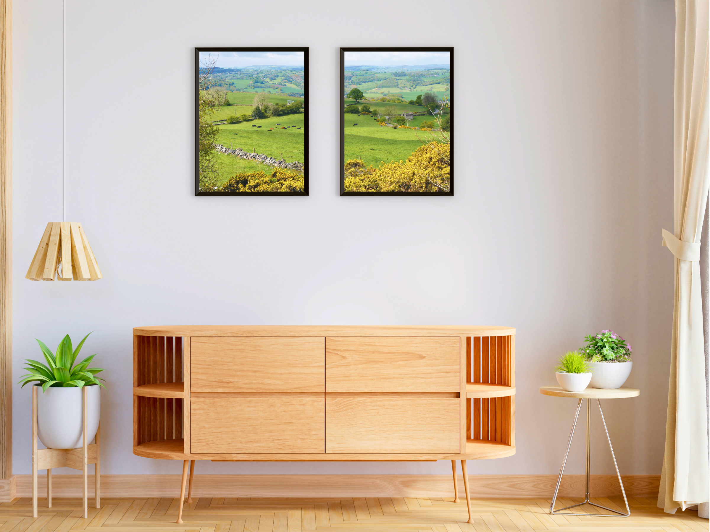 photographie de paysage de prairie divisée