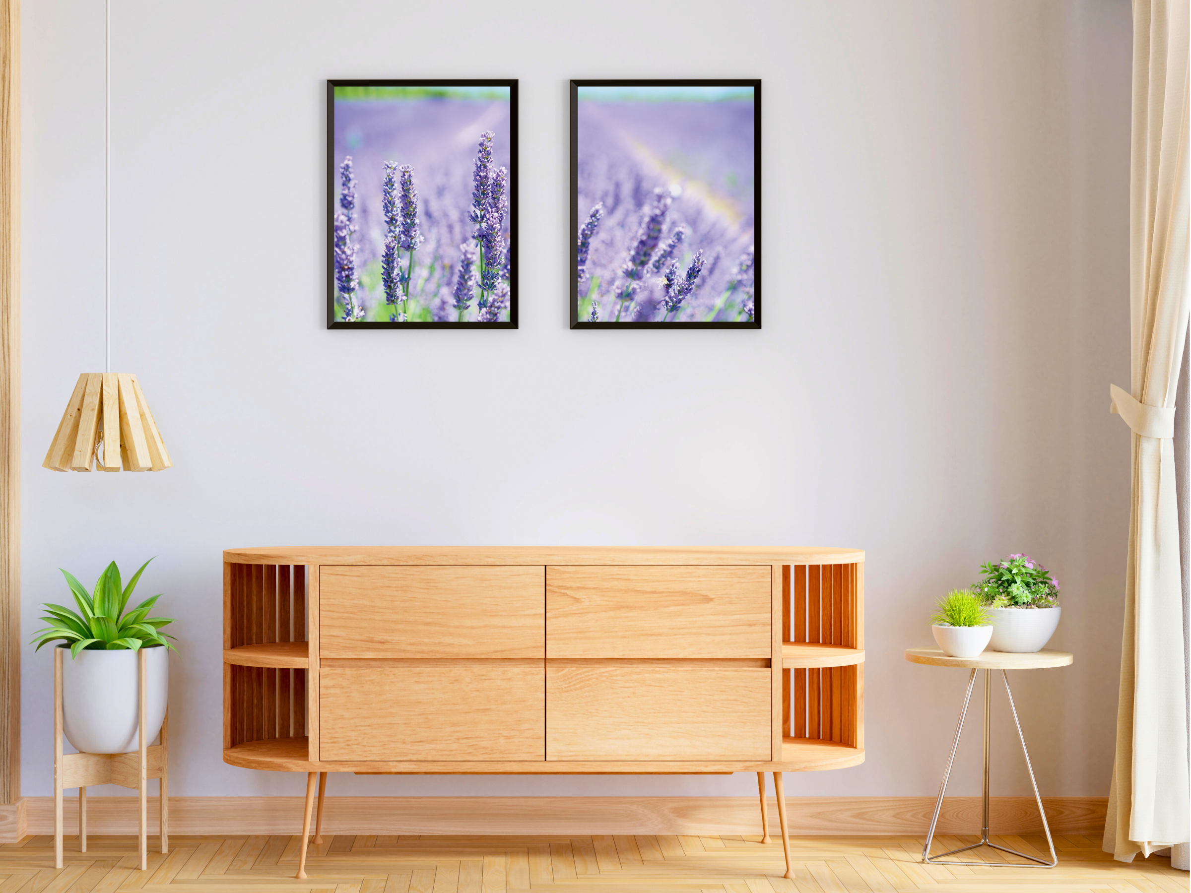 un champ plein de lavande photographie divisée