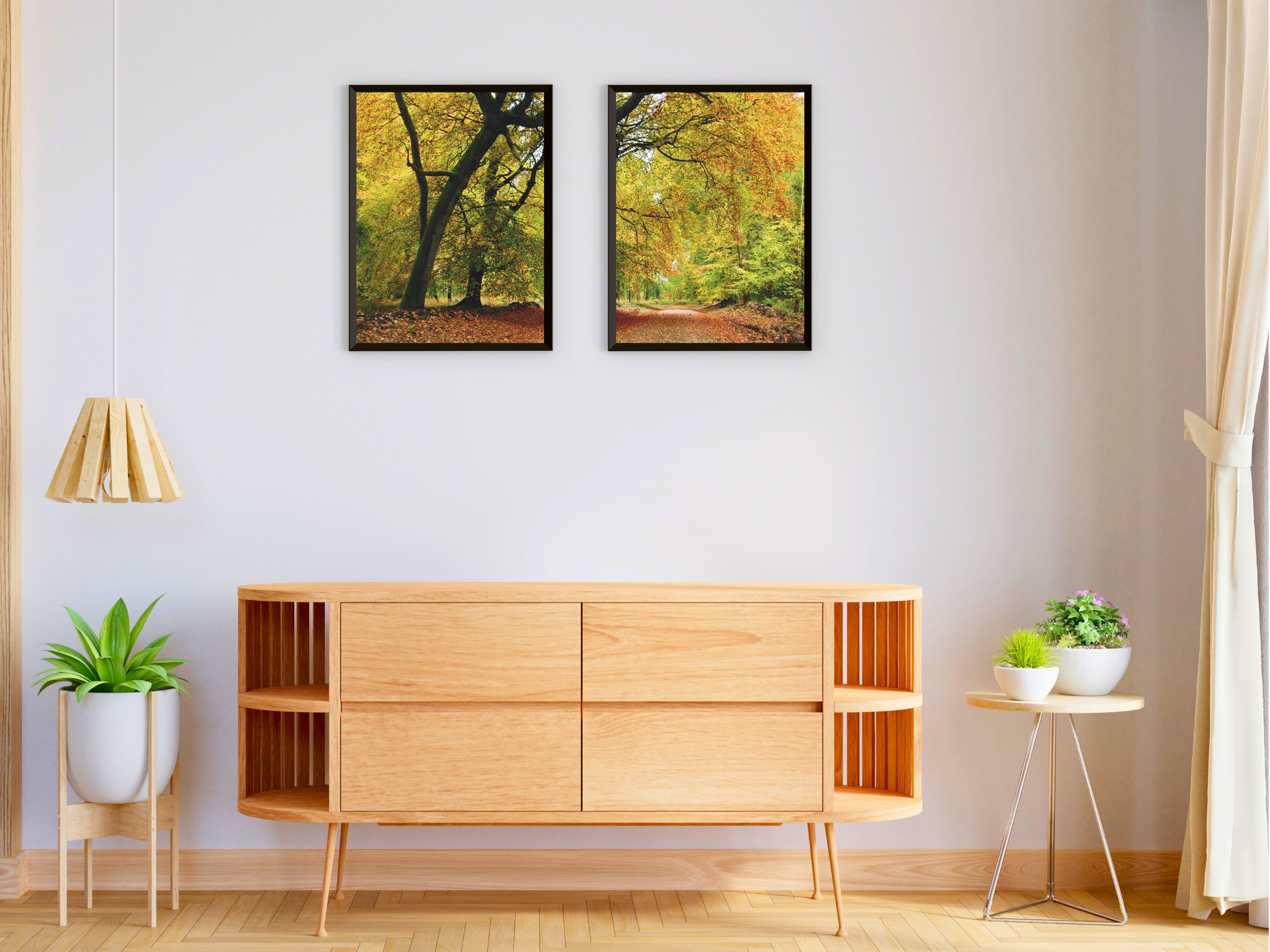 photographie de forêt d'automne