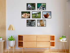 Tierkinder (Bundle)