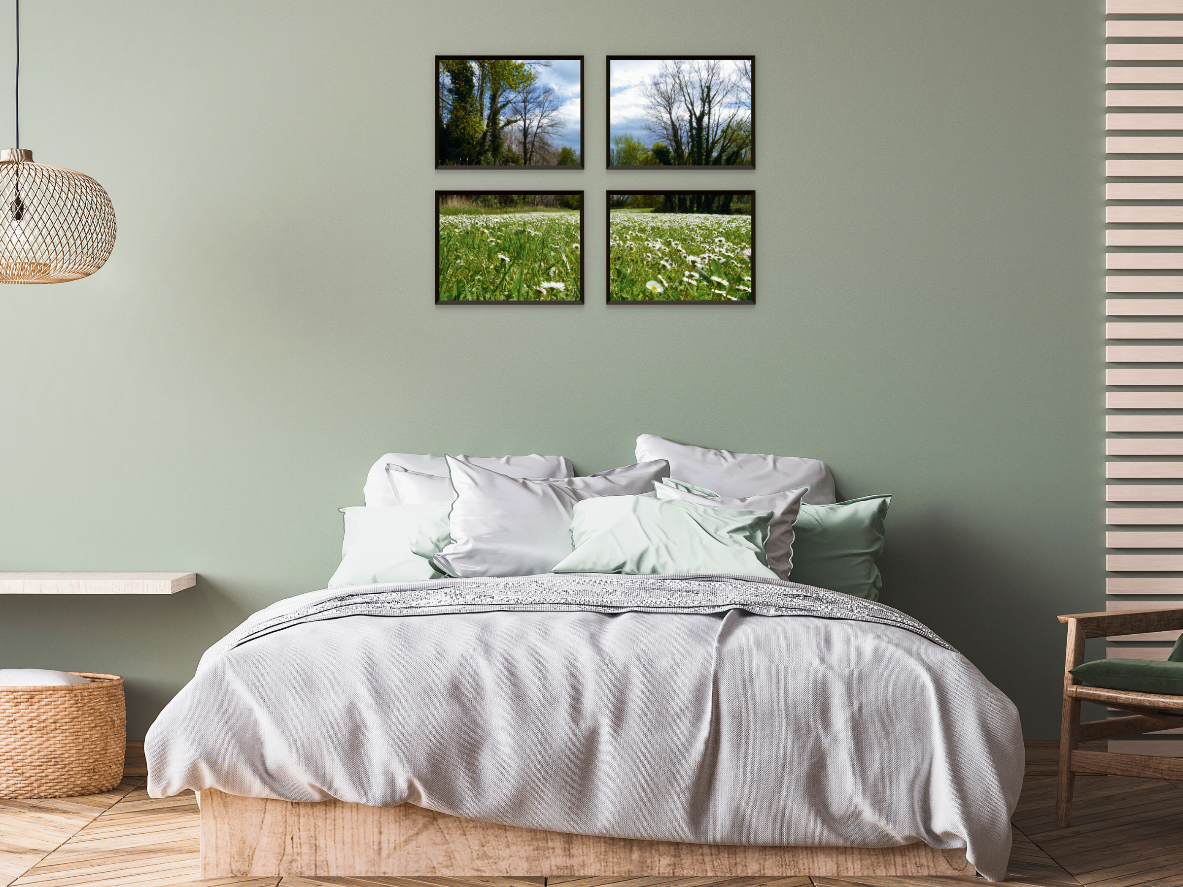 photographie de prairie de marguerites
