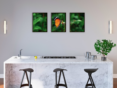 Schmetterling auf Blüte-Triptychon-Fotografie