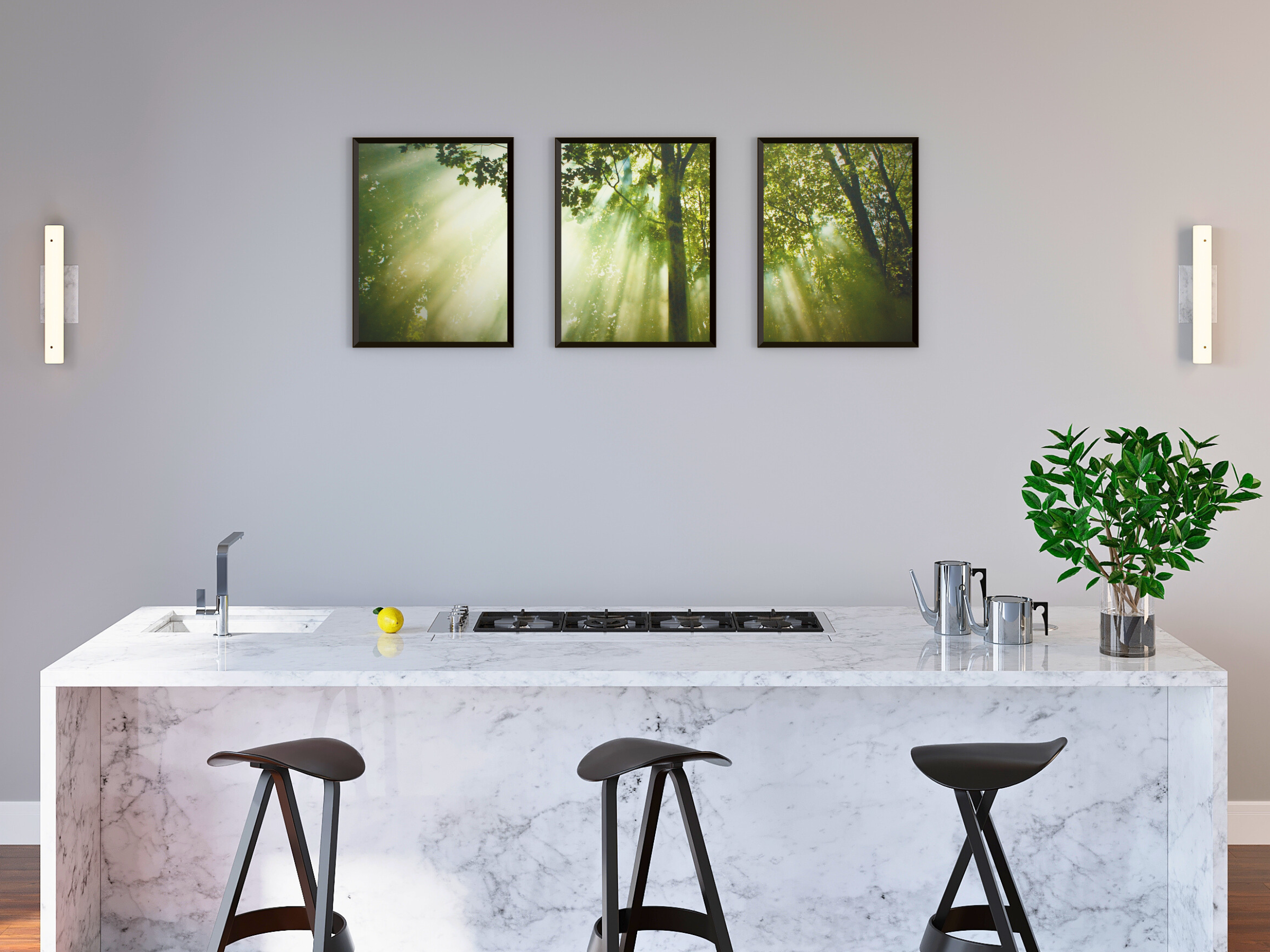 La lumière pénètre la forêt (triptyque photographique)