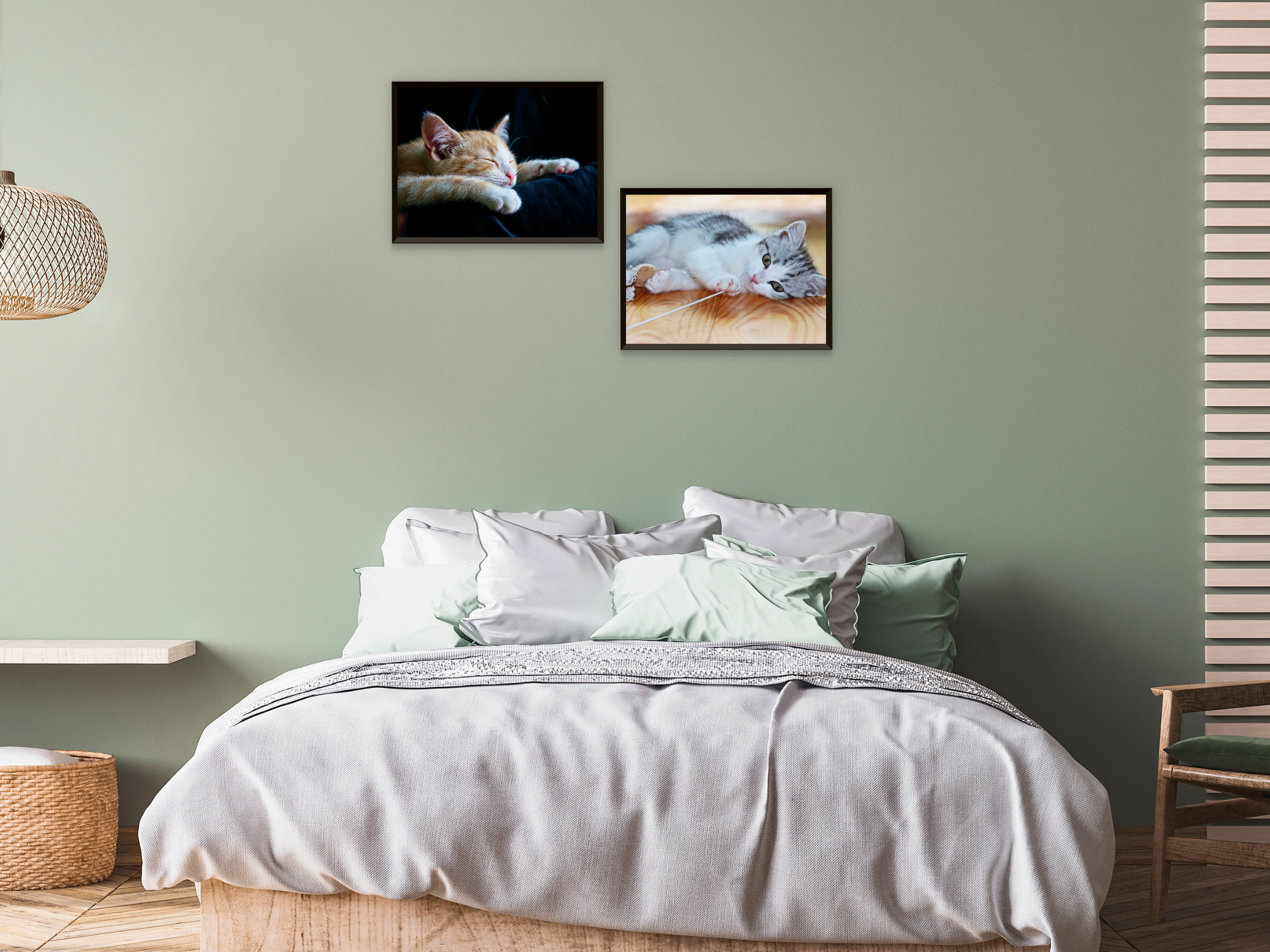 Bébés animaux (paquet)