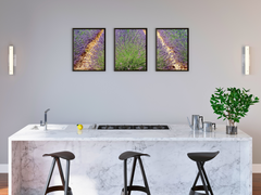 Lavendelfeld-Triptychon-Fotografie