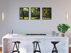 Waldlichtung-Triptychon-Fotografie