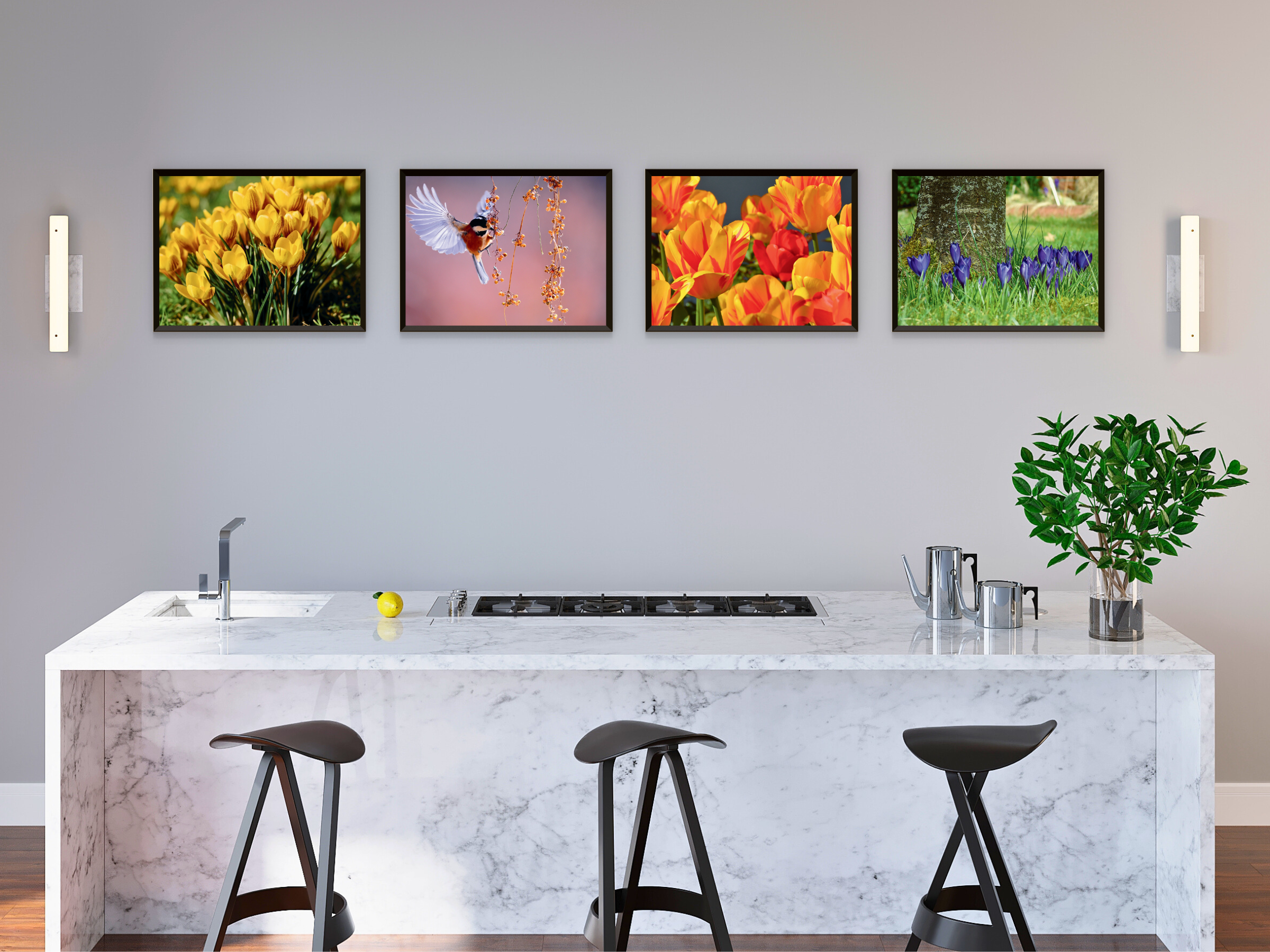 Blüten im Frühling-Fotografie