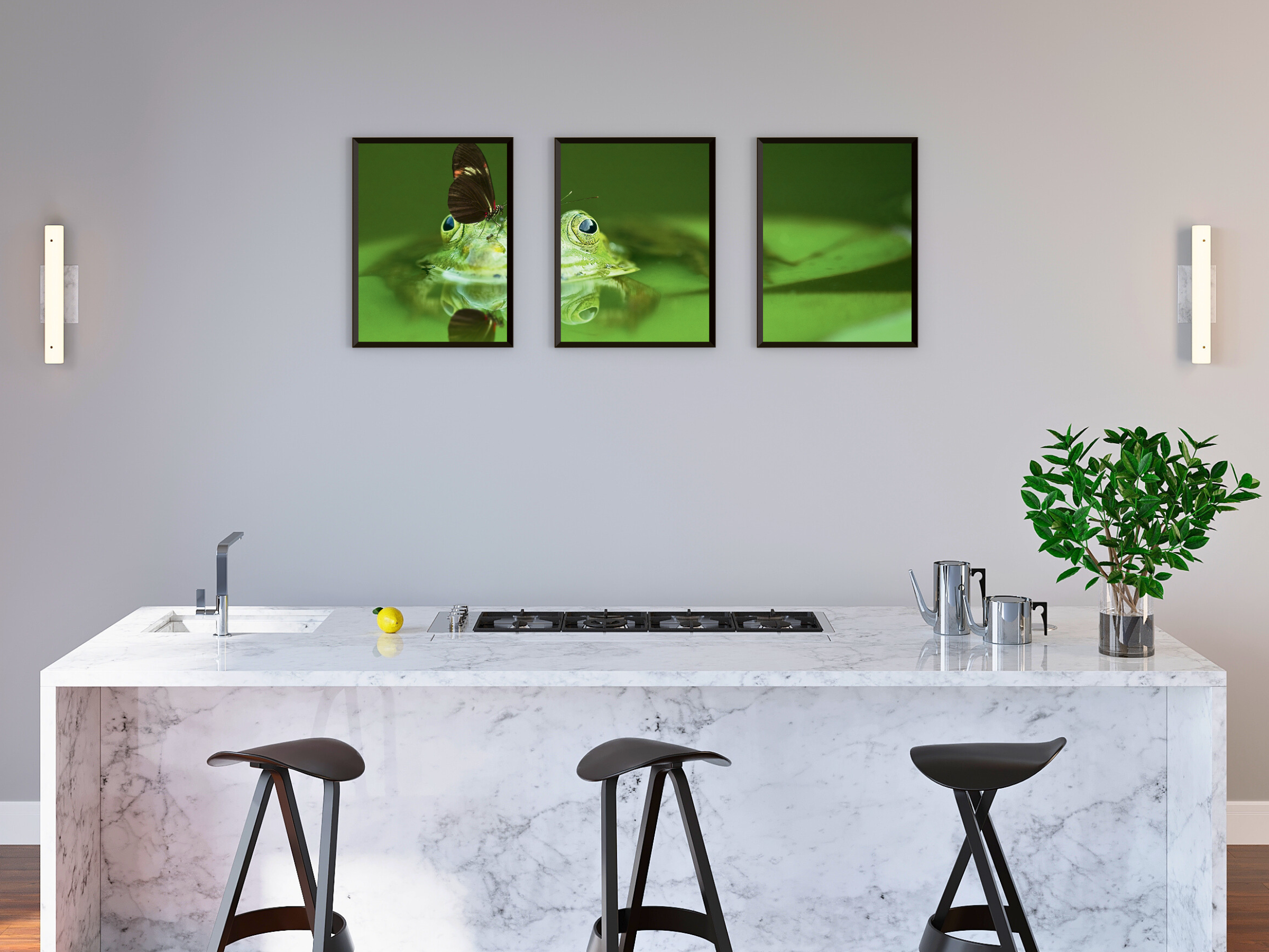 Triptyque photographique d'une grenouille et d'un papillon