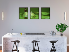 Frosch mit Schmetterling-Triptychon-Fotografie