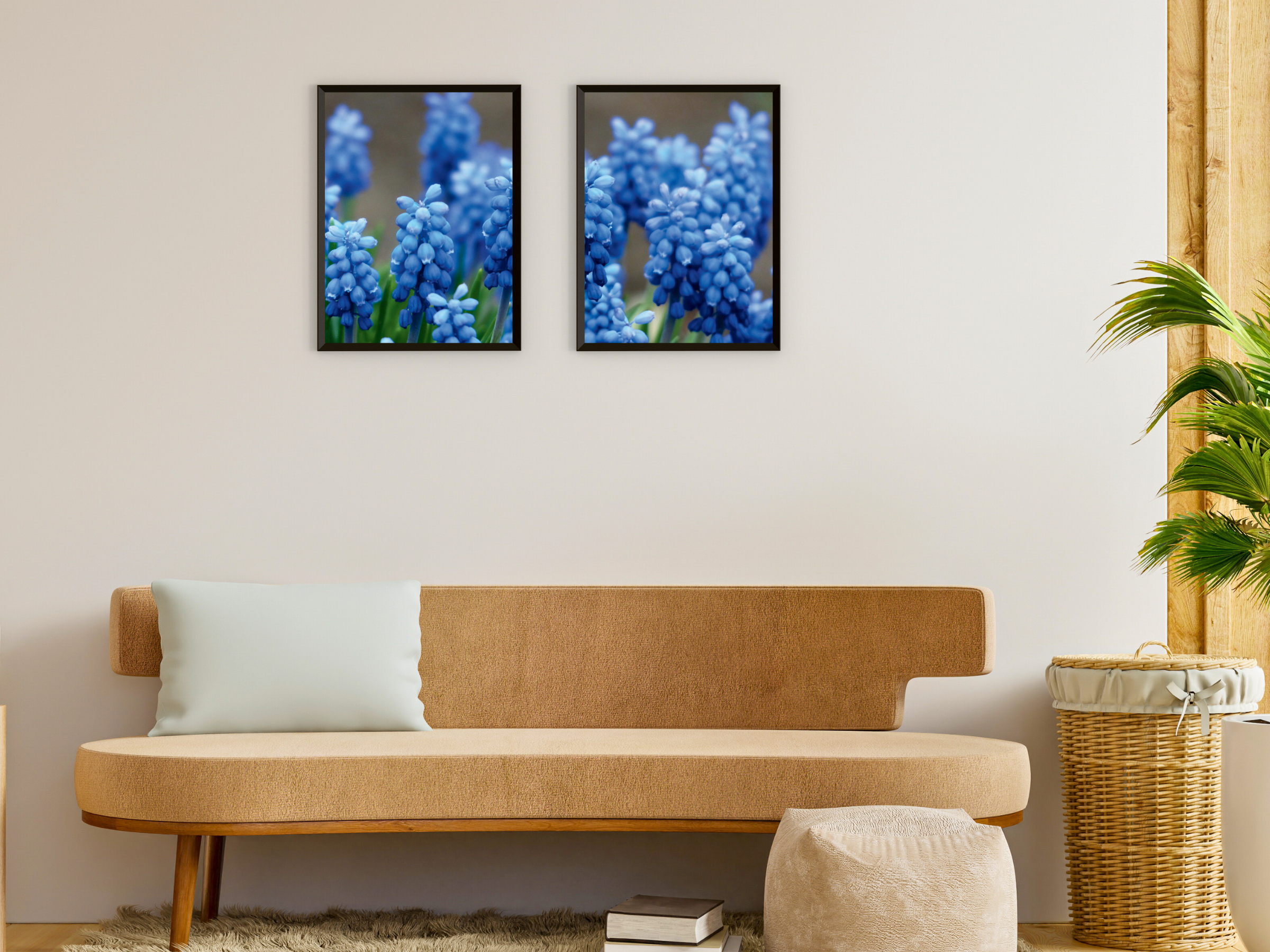 Grape Hyacinth Split Photography