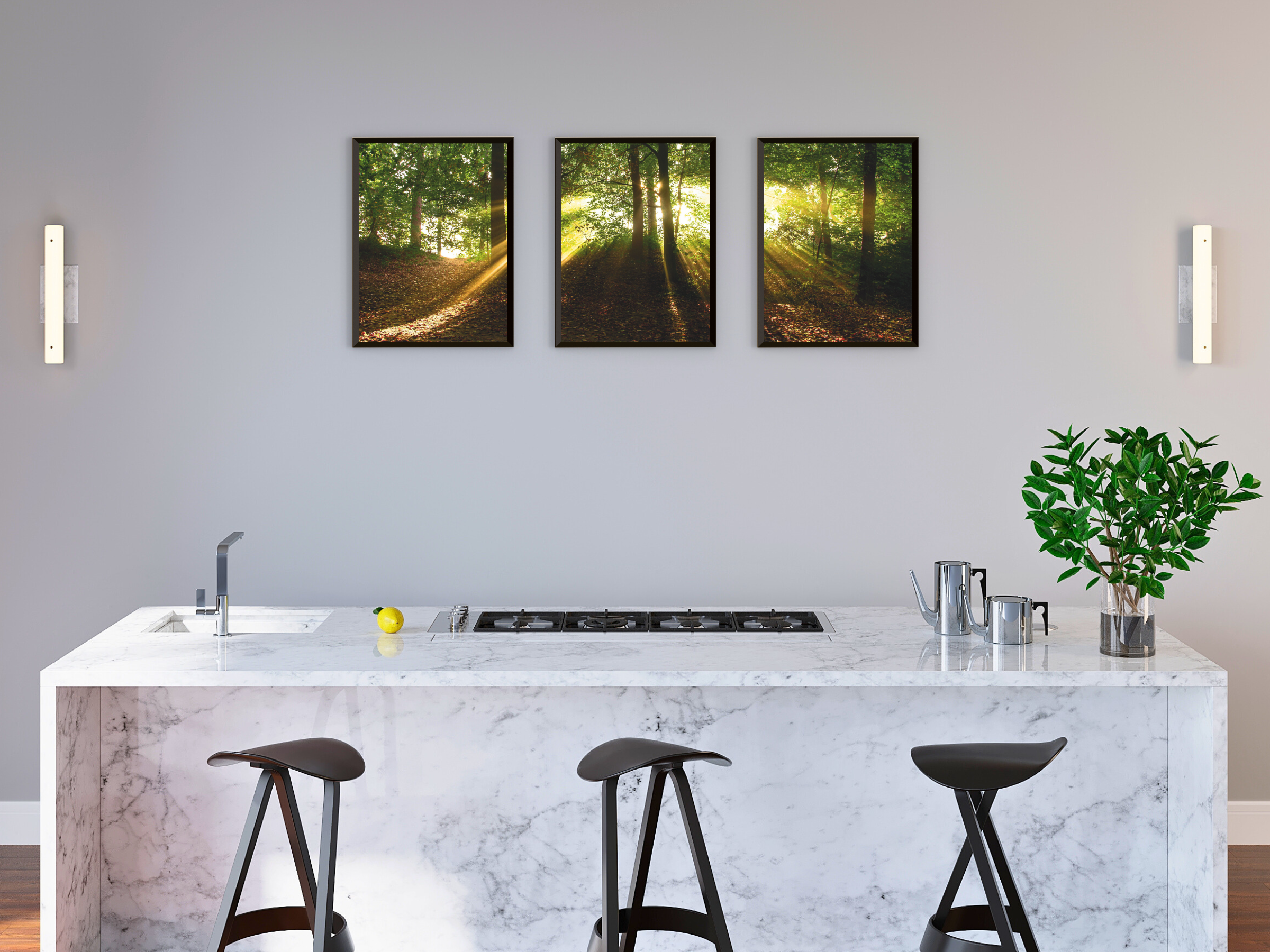 Forest Light View Triptych Photography