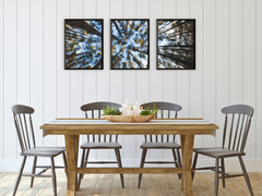 Blick in den Himmel-Triptychon-Fotografie